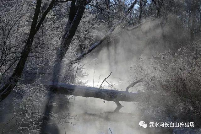 顺溜大冲锋