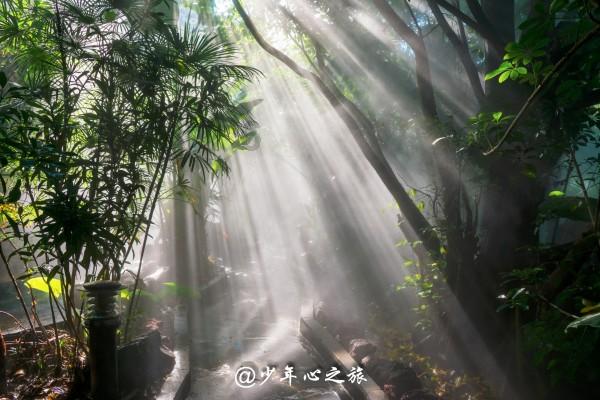 和男朋友的三观不一样该怎么办？游戏画面