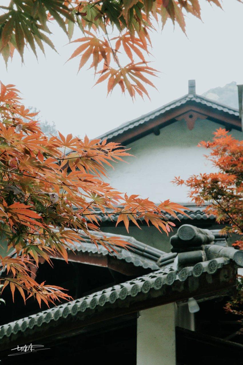 餐厅改造