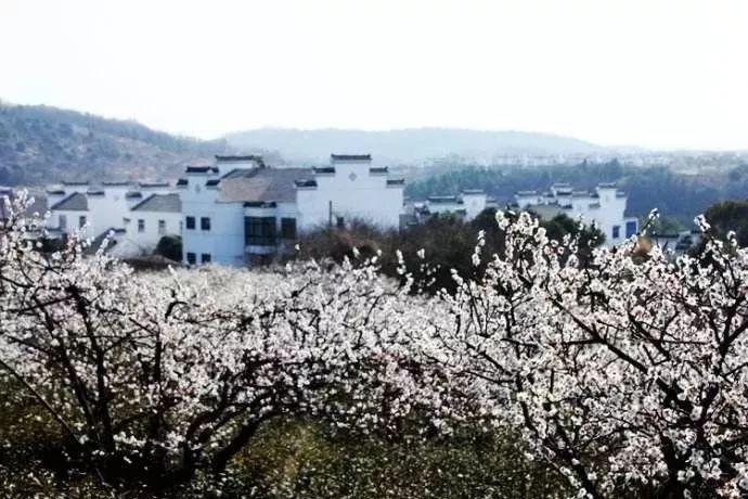 三大战役,为何淮海战役最难打?看看参战的国军将领都是谁