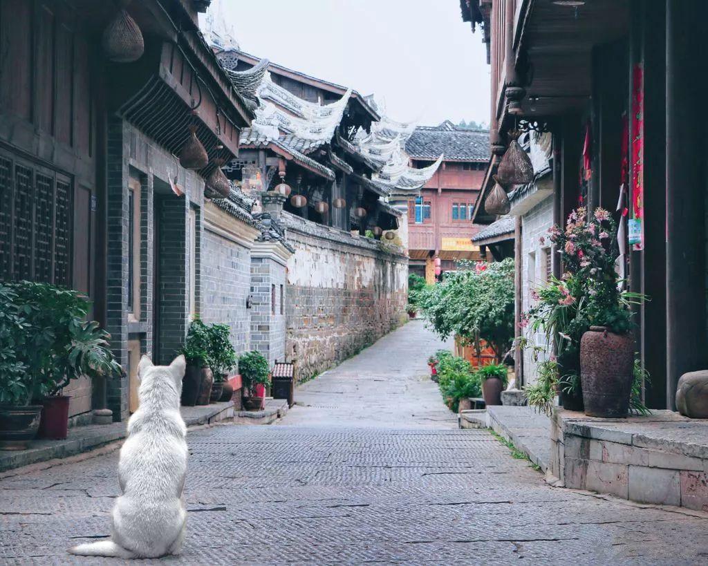 半条命：恐惧之泣