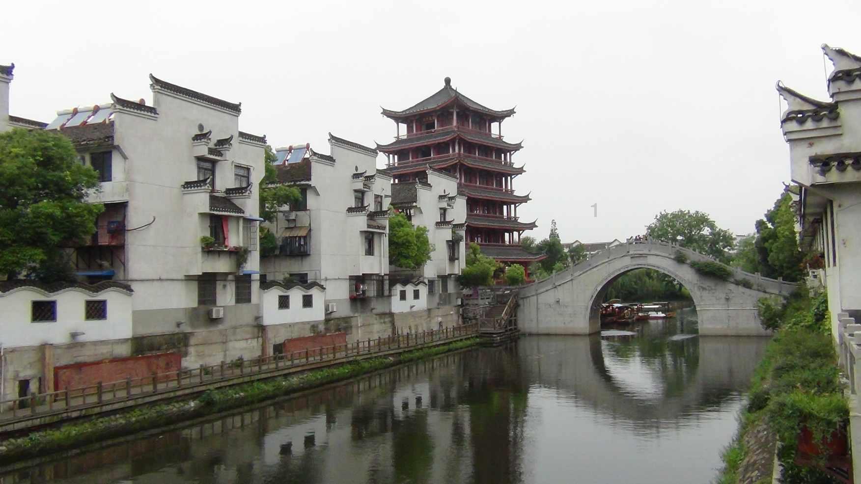 勿忘我