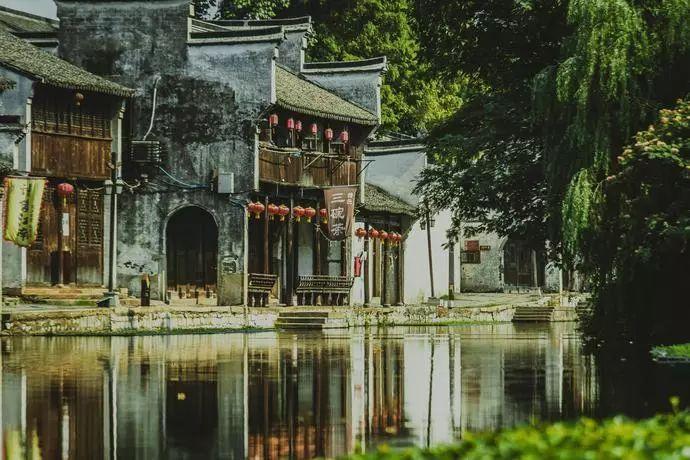 拯救精灵的土地7